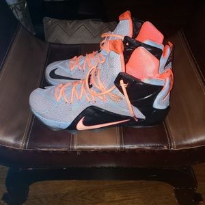 Nike LeBron Xll